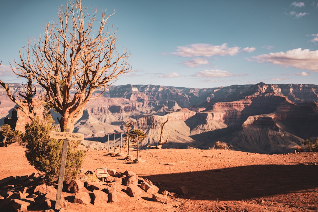 Exploring the American Southwest: A Desert Odyssey